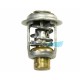THERMOSTAT MERCURY
