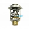 THERMOSTAT MERCURY