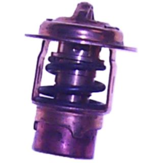 THERMOSTAT MERCURY