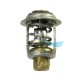 THERMOSTAT MERCURY AVEC JOINT 143°F