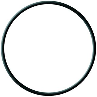 JOINT TORIQUE POUR FILTRE GENOVA 3/4" & 1"
