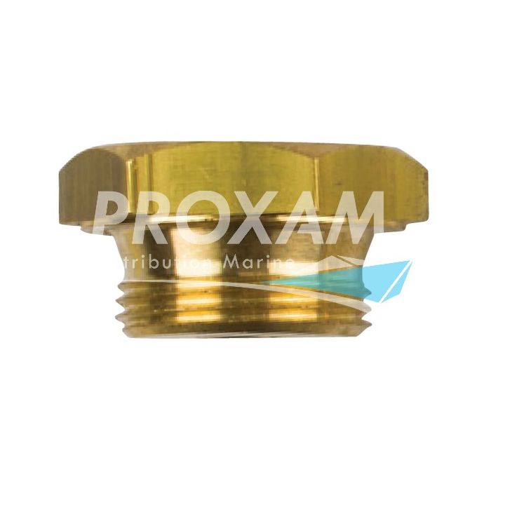 BOUCHON LAITON ANODE ECHANGEUR BAU001