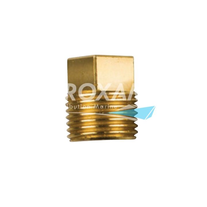 BOUCHON LAITON ANODE ECHANGEUR CAT009