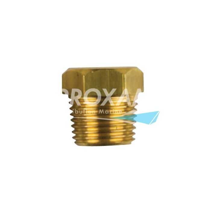 BOUCHON LAITON ANODE ECHANGEUR CUM001