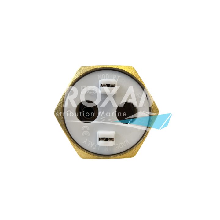 RESISTANCE DE CHAUFFE-EAU 230V-1250W