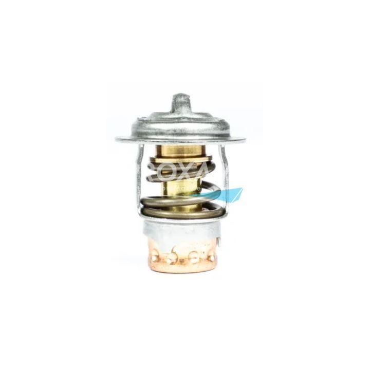 THERMOSTAT MERCURY