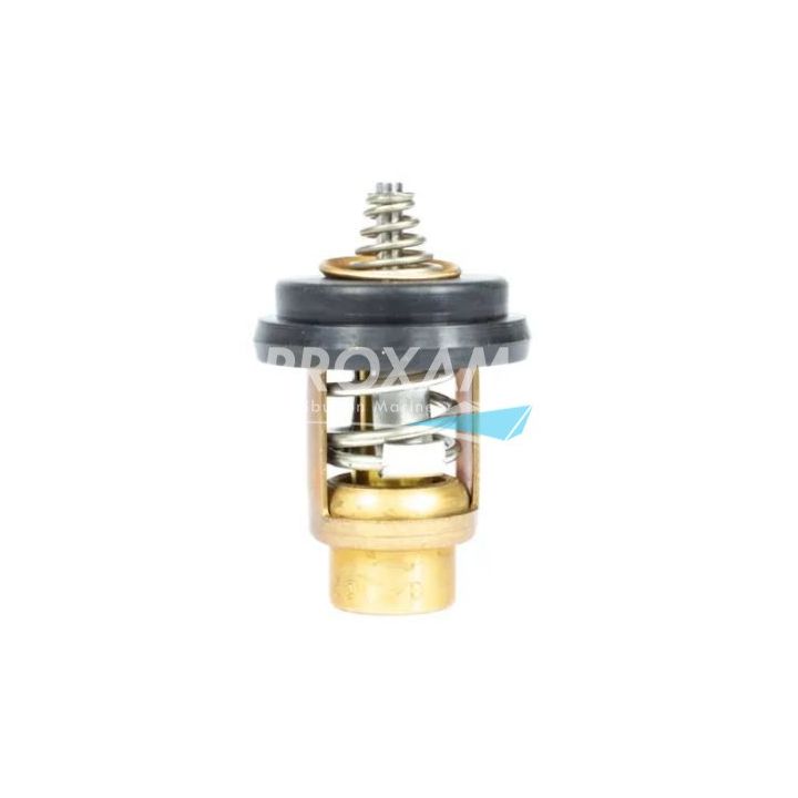 THERMOSTAT MERCURY