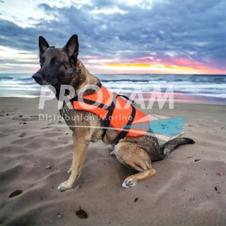 HARNAIS FLOTTANT POUR CHIEN SUP A 40KG