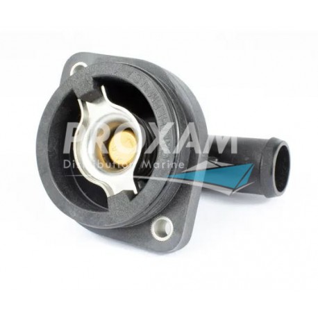 THERMOSTAT MERCURY