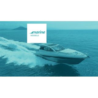 LICENCE ASSISTANCE DIAGNOSTIC MOTEUR