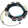 JOHNSON/EVINRUDE STATOR - 2 CYL. (6 AMP)