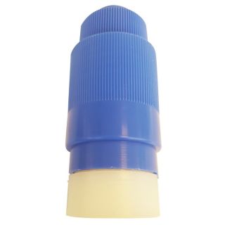 FICHE FEMELLE BLEUE