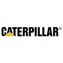 Caterpillar